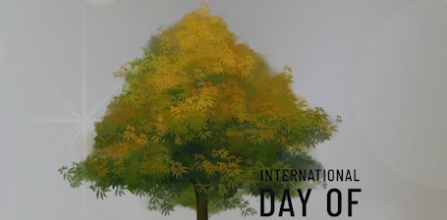 2023 International Day of Forest