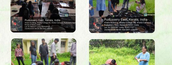 Planting of Marigold Saplings