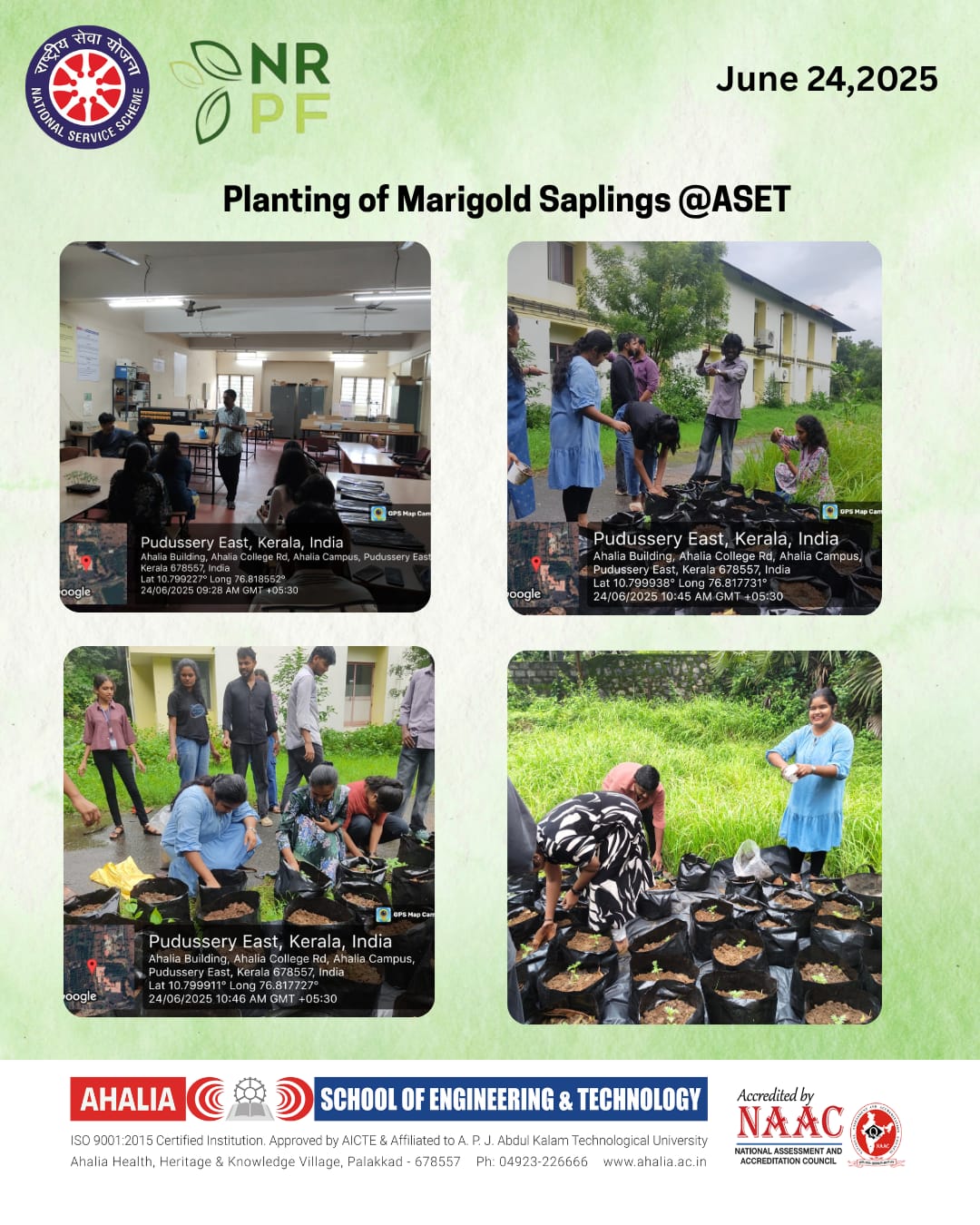 Planting of Marigold Saplings