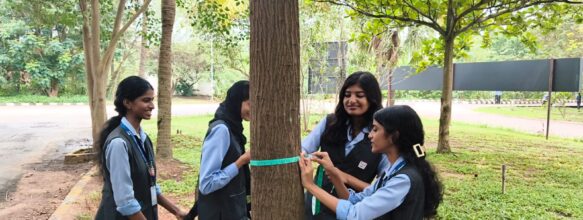 Carbon Neutral Survey