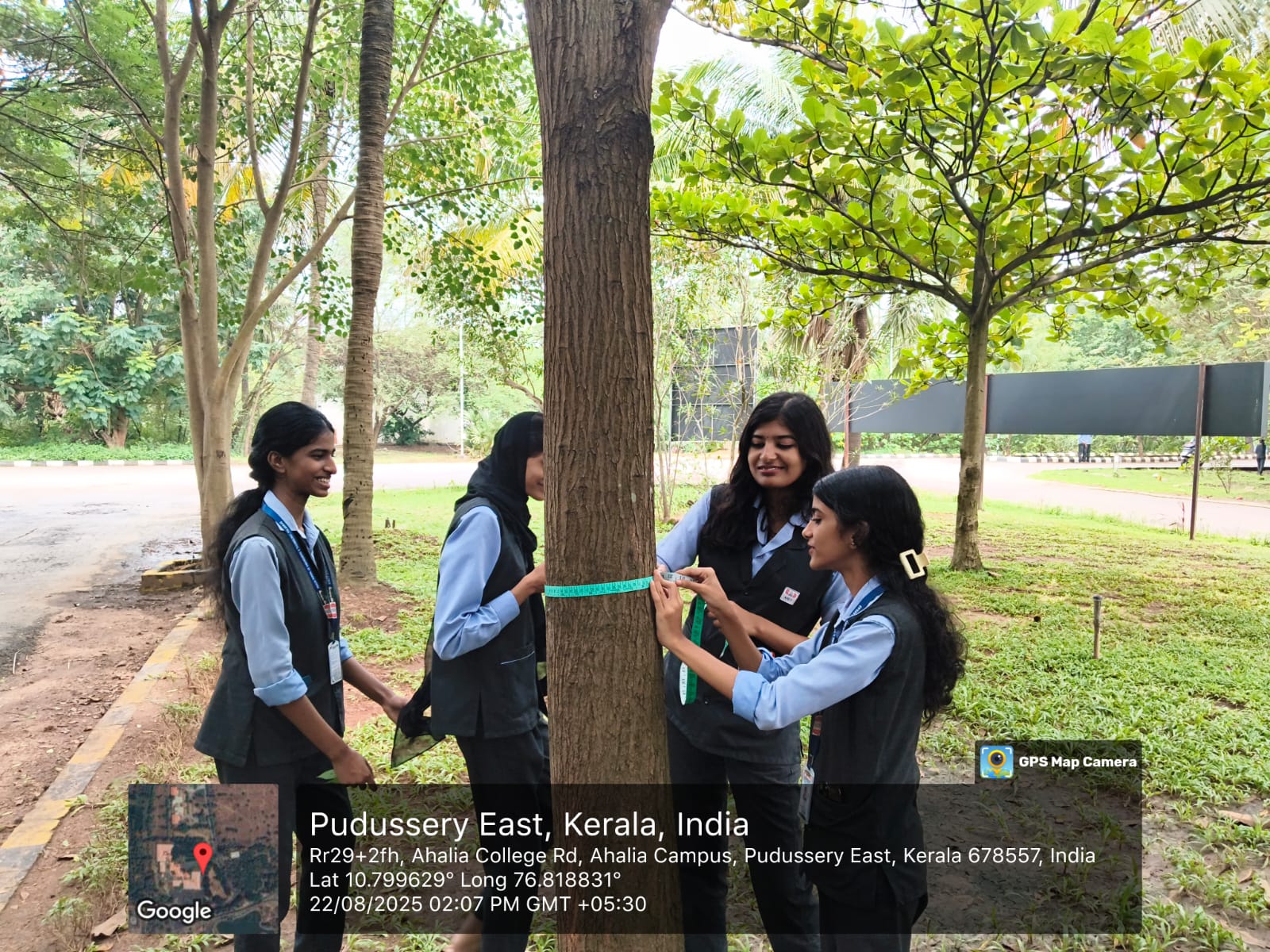 Carbon Neutral Survey