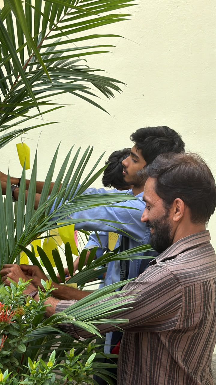 Image gallery image
